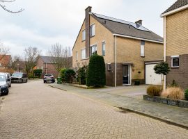 Viool 91 te De Lier, VERKOCHT